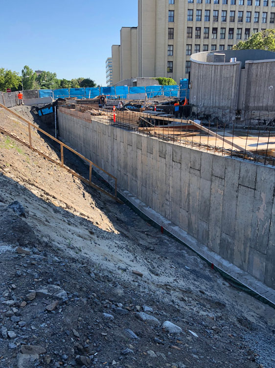 Université de Montréal