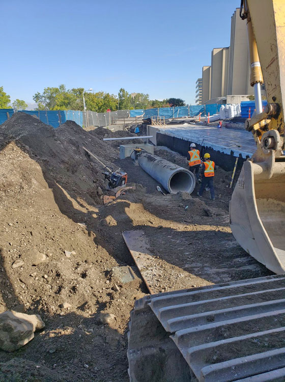 Université de Montréal