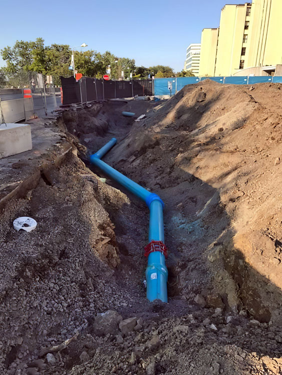 Université de Montréal