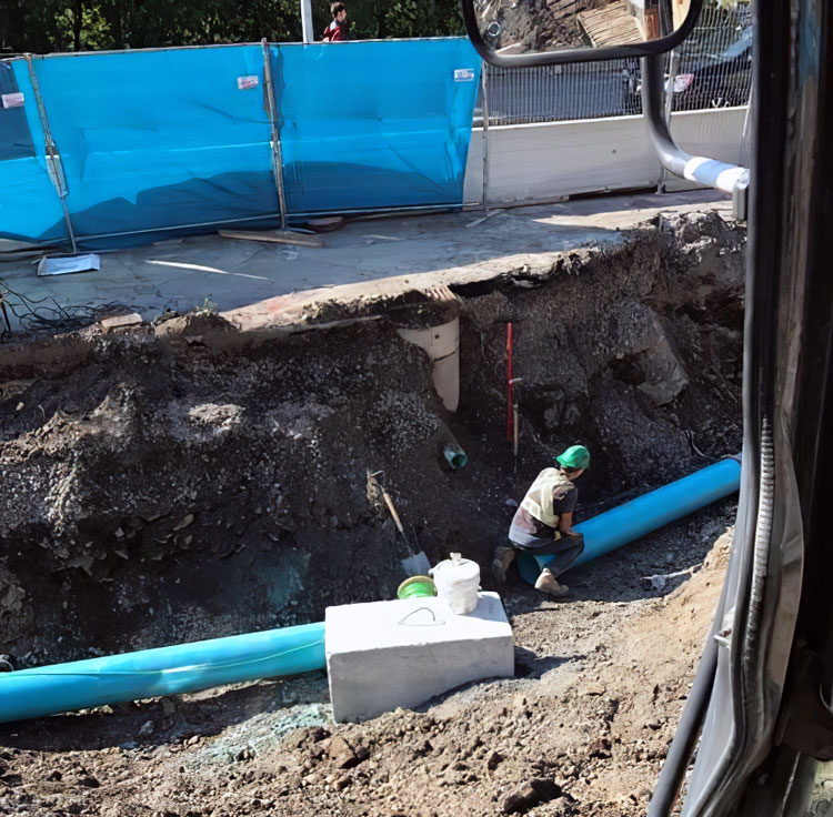 Université de Montréal